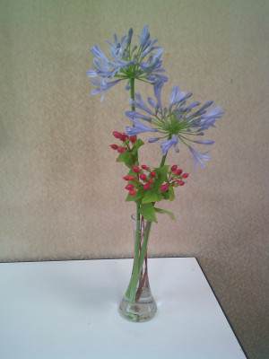DSCF0004