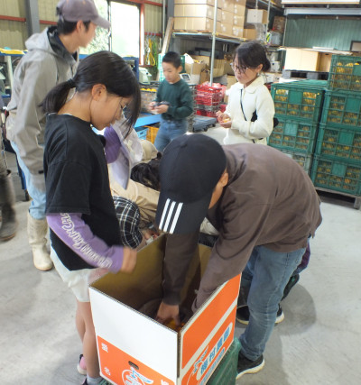 箱詰め