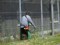 草刈り１