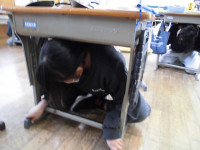 シェイクアウト３