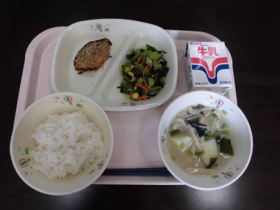 給食