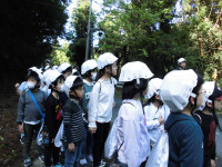 hinannbasyo2