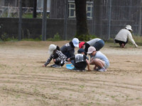 草引き２