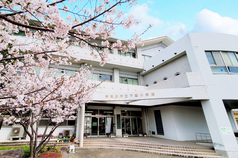 下灘小校舎_桜