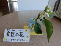 分担の花
