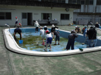 小プール