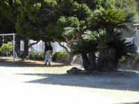 CIMG8029