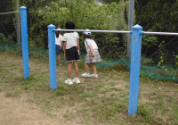 虫探し
