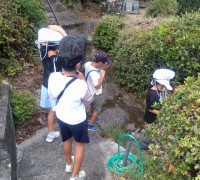 嵐２