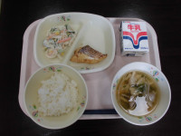 給食