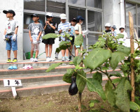 生活科