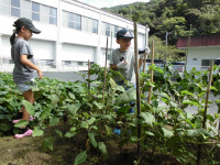 たいよう・ちなつ